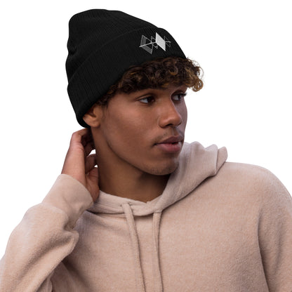 Reflection Ribbed Knit Beanie