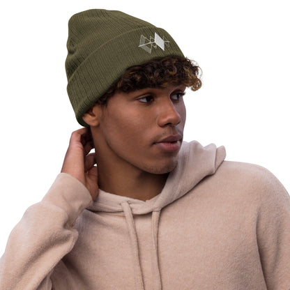Reflection Ribbed Knit Beanie