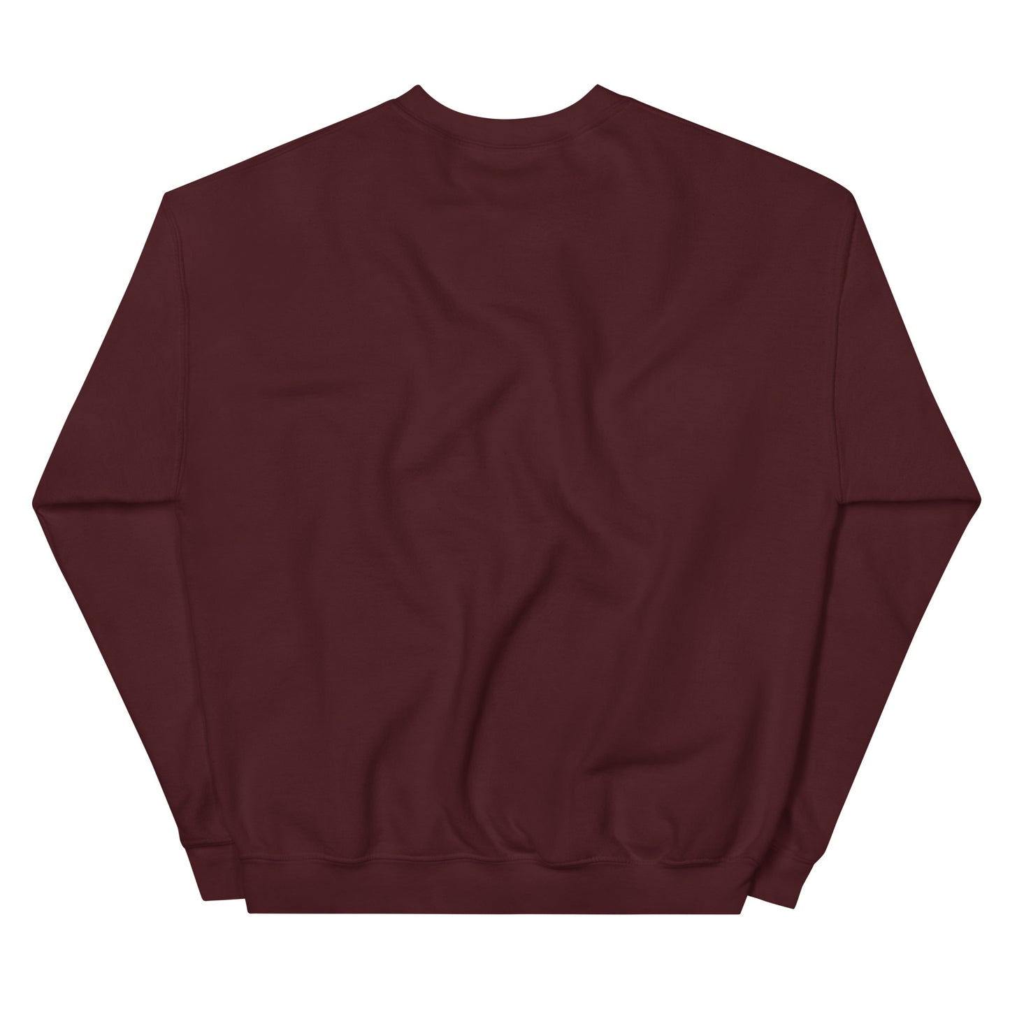 Unisex Reflection Sweatshirt
